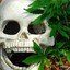 Weed power hellcase.com