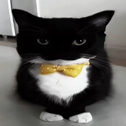 kajjawna