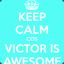 Victorawesome321