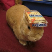 acct - steam id 76561199145336576