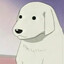Mr. Tadakichi