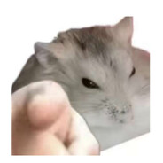 吱吱