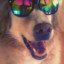 Maverick