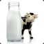 Dairyus Von Milk