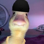 Akuzy avatar