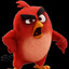 angry birds