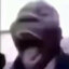 Voxe1ated