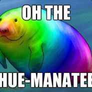Xander165's Avatar