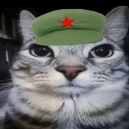 Angry Dragon pirate zimo