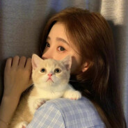 城堡为爱守着秘密