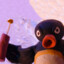 Pingu