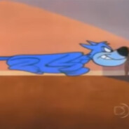 gato a jato