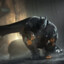 The Arkham Fan