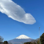 P不鸡不要封你爹