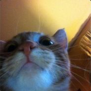 Wonalx