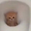 444
