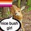 lesbian deer girl