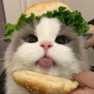 给我发把电击枪