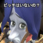 Ким Сдохча