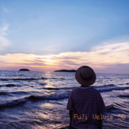 臣妾是钮祜禄甄嬛