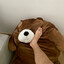 Human Bear