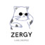 Sklad Cyberspace| Zergy