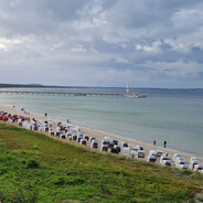 Minime_Pidizzel [Stinker]