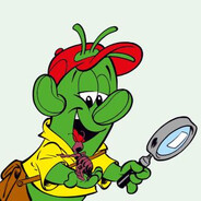 cactusbereldeng