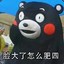 可爱达
