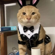 怎么是原神安装包???