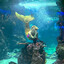 TheFartingMermaid
