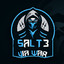 Salt3