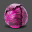 Pink Cabbage