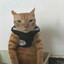 Tèo