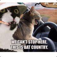razzle - steam id 76561197971707259