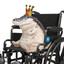 Fat Boy on a Wheelchair