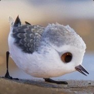 超级大毛豆 - steam id 76561197967951004