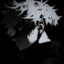 ✞Dziku✞
