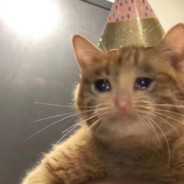 寒风农场练习生#