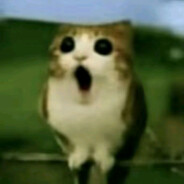meowl