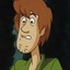 Shaggy Rogers