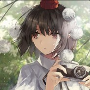 清廉正直的射命丸