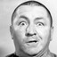 curly howard's avatar