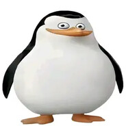 马达加斯加企鹅