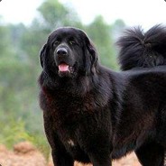 你让我不知所措