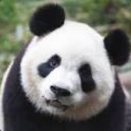 HighPanda