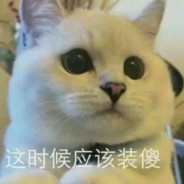 这个时候就要装傻