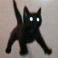 Mr.Whiskers