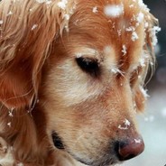 我叫小M。҉҈҉҈҈҉҈҉҈҉҈҉҈҉҈҉҈