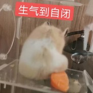 23级研究生辅导员杨璐查你学历